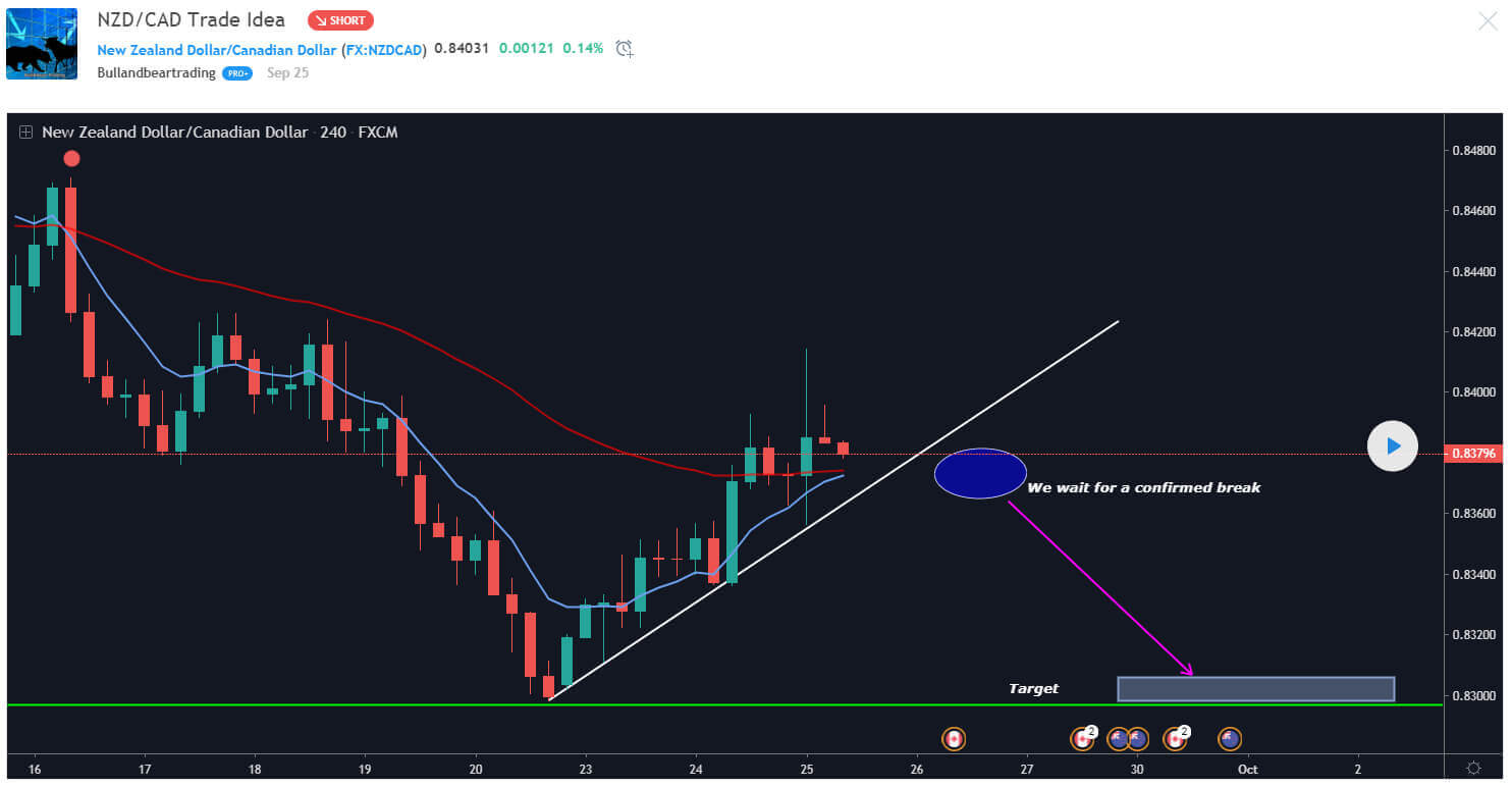 Top 10 Cryptocurrency Traders To Follow with Poloniex: Best TradingView Chart